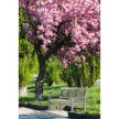 Fából készült kerti pad, szürke, 150 cm, FABLA